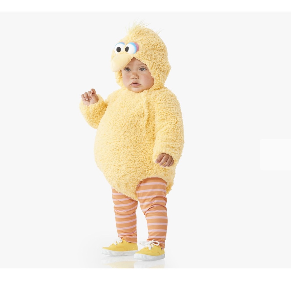 Pottery barn Big Bird Costume 12-24M